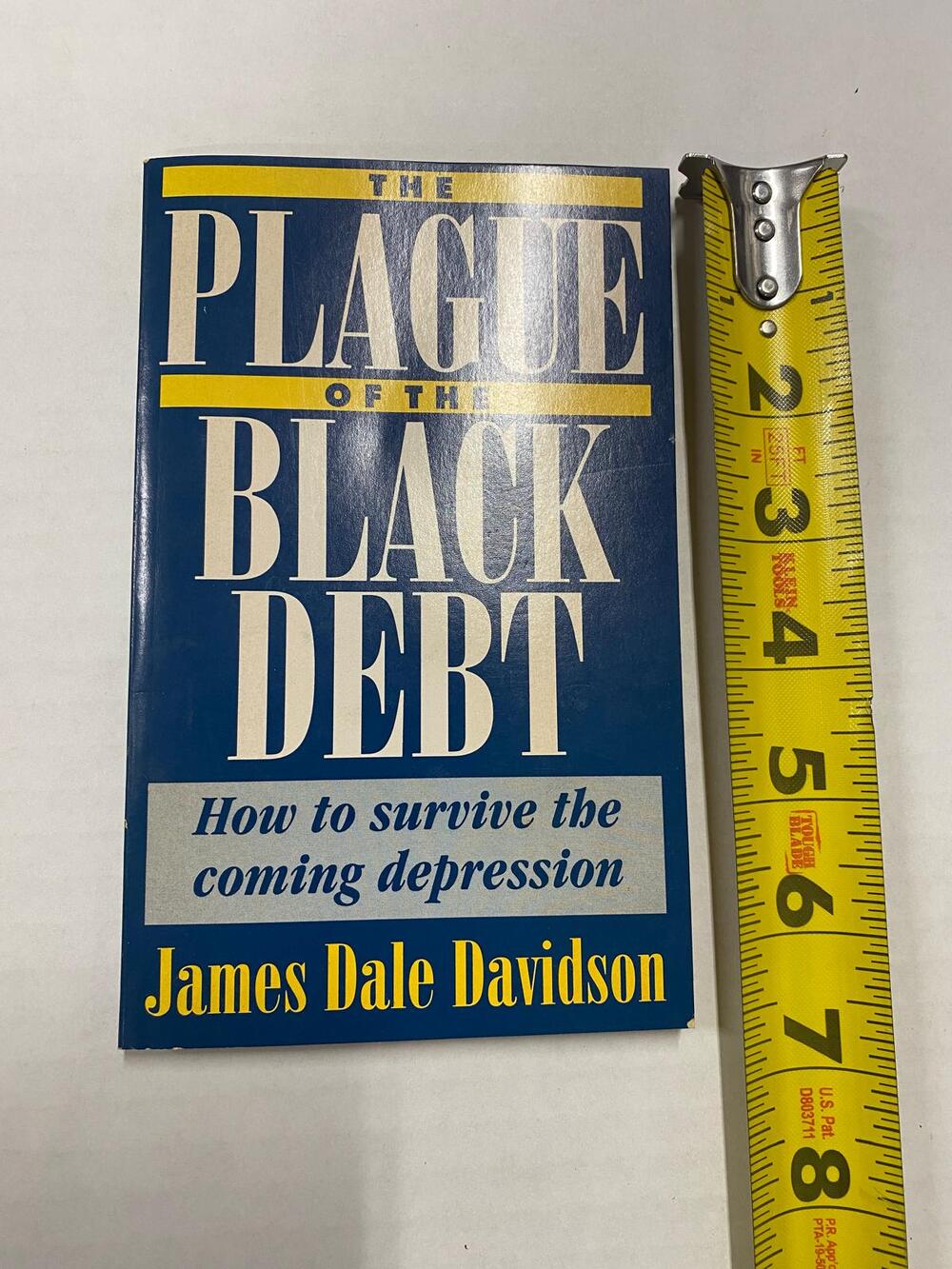 Plague of the Black Debt James Dale Davidson 1993 Paperback Pre Owned
